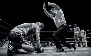 Boxing Knock Out Moment Wallpaper