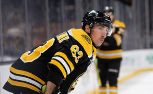 Brad Marchand Boston Bruins Wallpaper