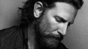 Bradley Cooper Greyscale Beard Wallpaper