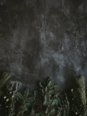 Branches Berries Grunge Mobile Wallpaper