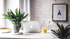 Breakfast Desk White Wallpaper