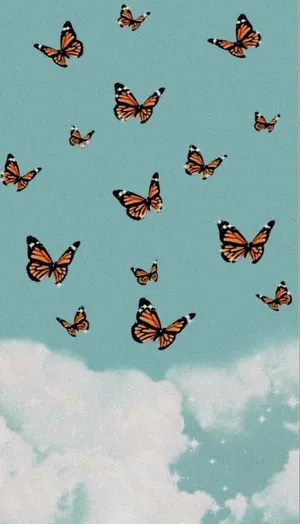 Breath-taking View Of A Radiant Sunset Over The Beautiful Mountains Wallpaper