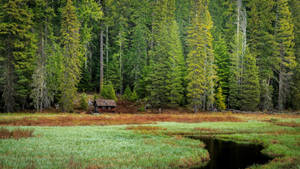 Breathtaking Landscape Of Oregon's Natural Beauty Wallpaper