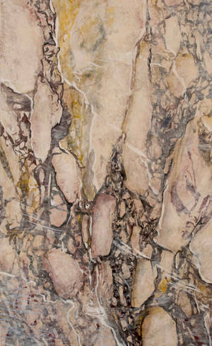 Breccia Violetta Marble Wallpaper