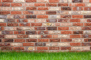 Brick Wall And Grass Banner Wallpaper