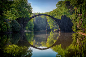 Bridge And Trees 4k Hd Laptop Wallpaper