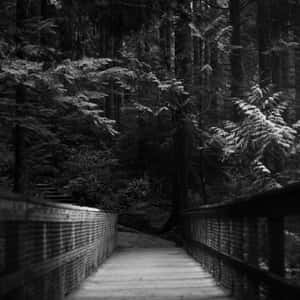 Bridge In Forest Dark Ipad Wallpaper