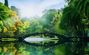 Bridge Lake Beautiful Sunny Day Wallpaper