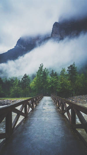 Bridge Over River Going To Forest Iphone Wallpaper