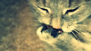 Bright And Beautiful Neon Animals Wallpaper