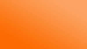 Bright And Bold Plain Orange Wallpaper