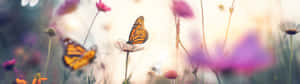 Bright And Colorful Wallpaper