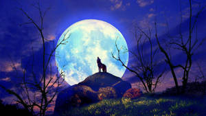 Bright Beautiful Moon And A Howling Wolf Wallpaper