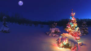 Bright Christmas Tree Wallpaper