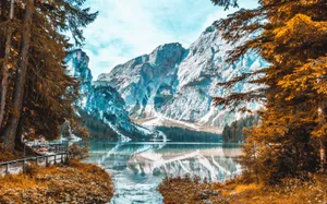 Bright Colors Of Early Fall In A Rural Ditch Wallpaper