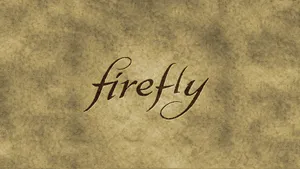 Bright Firefly Twinkling In The Night Sky Wallpaper