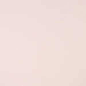 Bright Pink And Rose Petals With Bokeh Background. Wallpaper