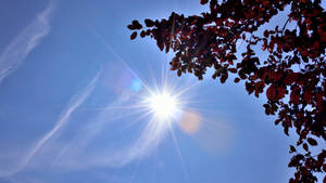 Bright Sunlight Heat Wallpaper