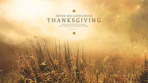 Bright Thanksgiving Field Wallpaper
