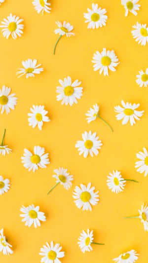 Brighten Up Any Room With This Vibrant Yellow Aesthetic Wallpaper