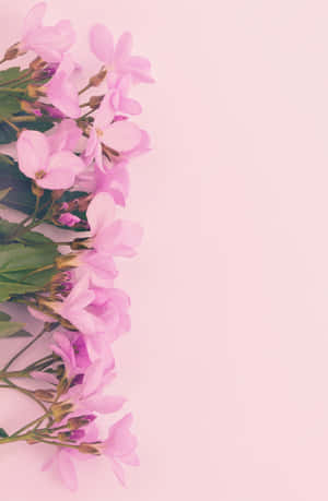 Bring The Beauty Of Nature And Technology Together Wallpaper