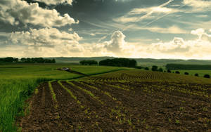 Broad Agriculture Farmland Wallpaper