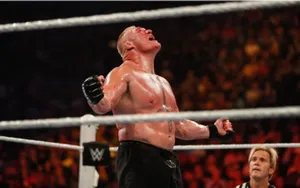 Brock Lesnar Ringside Photo Wallpaper