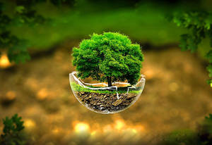 Broken Glass 3d Nature Wallpaper