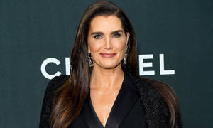 Brooke Shields Chanel Photoshoot Wallpaper