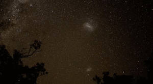 Brown Galaxy Live Wallpaper