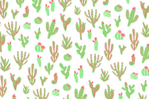 Brown Green Cute Cactus Wallpaper