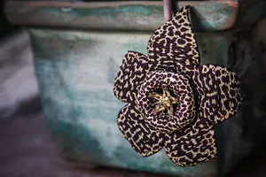 Brown Spotted Cactus Flower Wallpaper