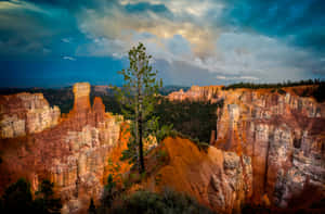 Bryce_ Canyon_ Sunset_ View Wallpaper