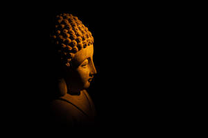 Buddha Broad Light Photography Wallpaper