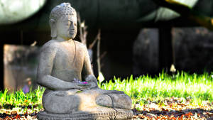 Buddha Desktop With Grass And Water Wallpaper