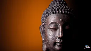 Buddha Head Statue Wallpaper
