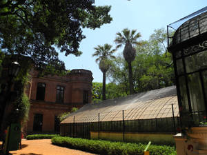 Buenos Aires Carlos Thays Botanical Garden Wallpaper