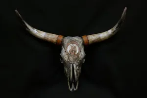 Bull Skull Will Bull Drawing On Forehead Wallpaper
