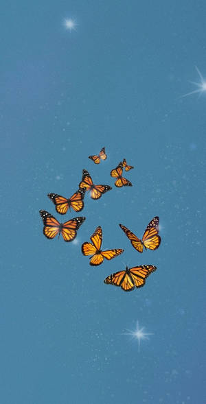 Butterfly Aesthetic Group Of Monarch Wallpaper