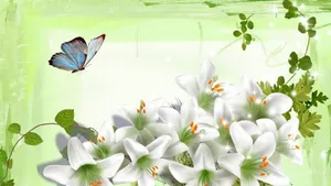 Butterfly And White Lily Flowers Wallpaper
