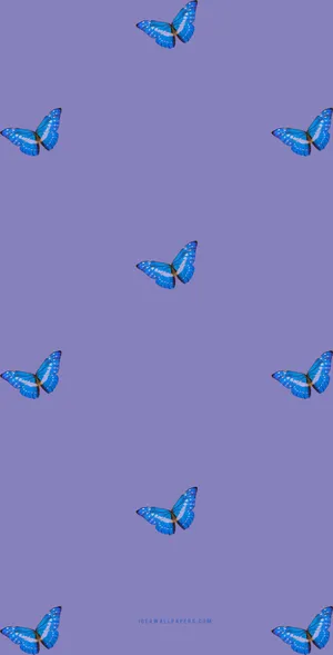 Butterfly Magic – Purple, Beautiful And Majestic Wallpaper