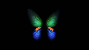 Butterfly Wings 4d Ultra Hd Wallpaper