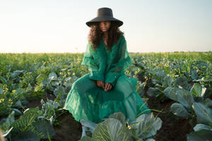 Cabbage Field Wallpaper