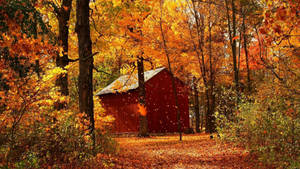 Cabin In Woods Fall Wallpaper