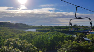 Cable Car & Green Forest Honduras Wallpaper