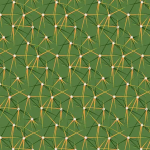 Cactus Spine And Rib Pattern Wallpaper