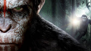 Caesar Koba Planet Of The Apes Wallpaper