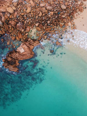 Calm Aesthetic Contrast Wallpaper