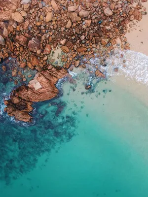 Calm Aesthetic Contrast Wallpaper