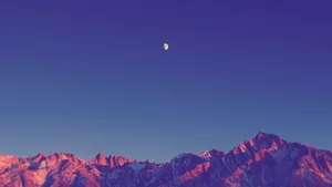 Calm Aesthetic Purple Wallpaper